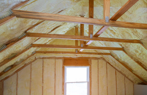 Best Energy-efficient Insulation  in Indnola, IA
