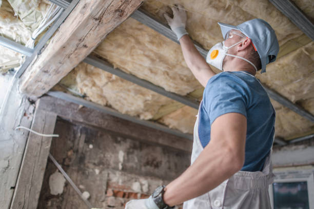 Professional Insulation Contractor in Indianola, IA