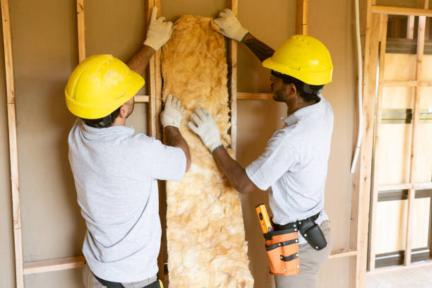 Best Insulation Contractor Near Me  in Indnola, IA