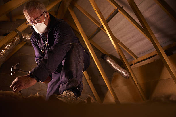 Best Attic Insulation Installation  in Indnola, IA